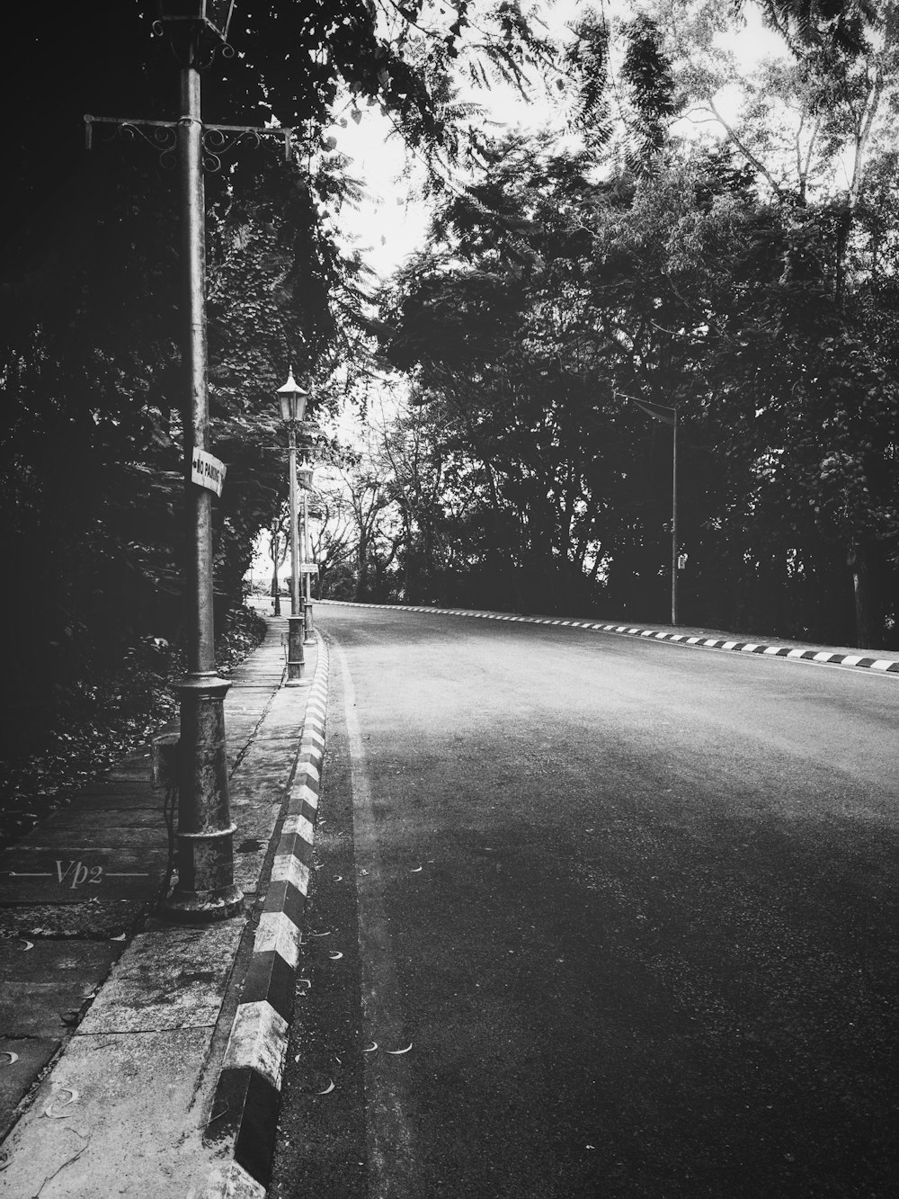 grayscale photo of road