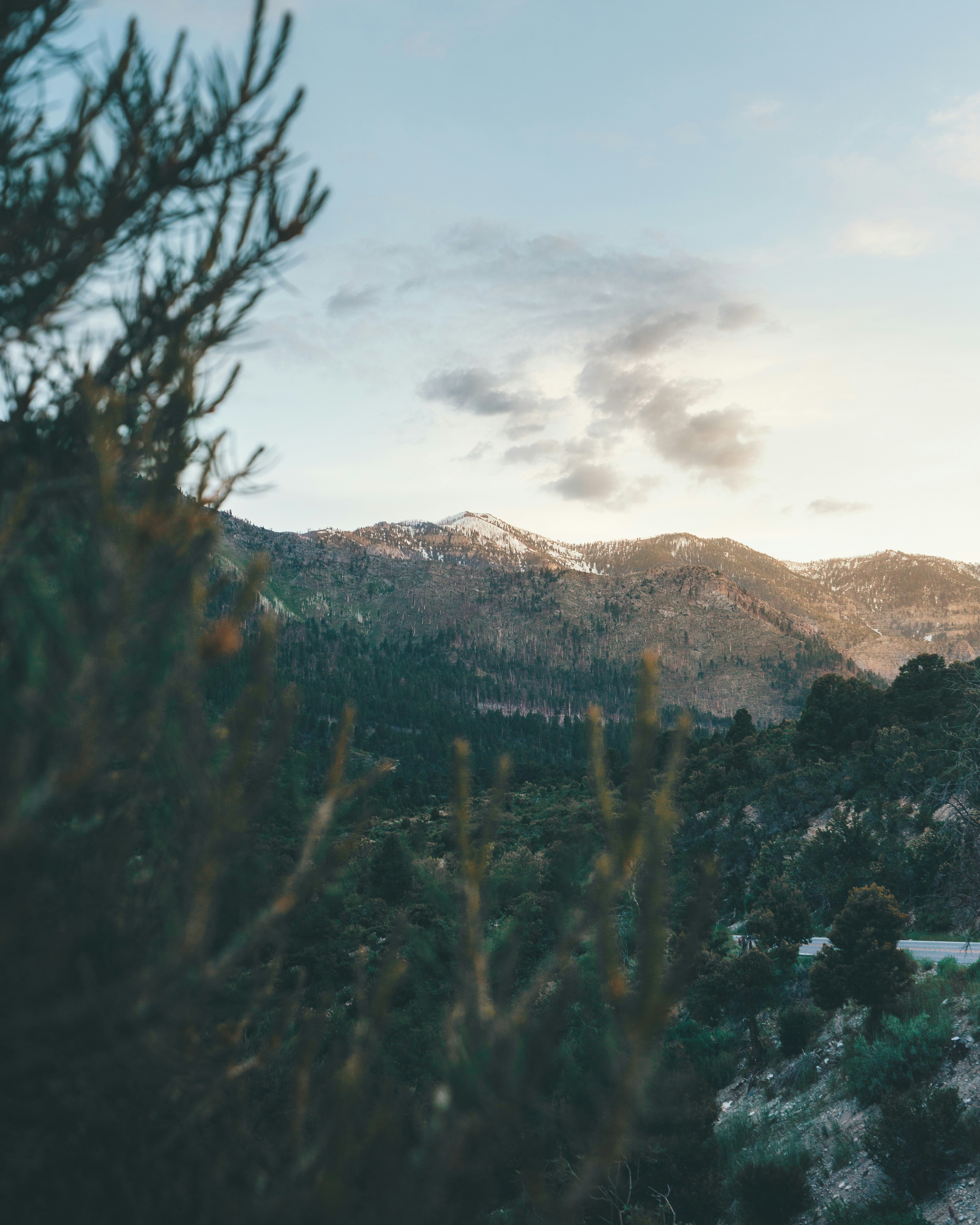 Photo by raimpsjaimps