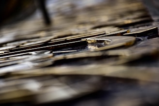 Close-up view of metallic letters arranged in a pattern. The focus is shallow, highlighting the texture and sheen on the surface of the letters. Background elements are blurred, creating a bokeh effect.