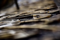 Close-up view of metallic letters arranged in a pattern. The focus is shallow, highlighting the texture and sheen on the surface of the letters. Background elements are blurred, creating a bokeh effect.