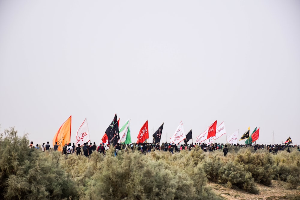 people holding flags near shrubs