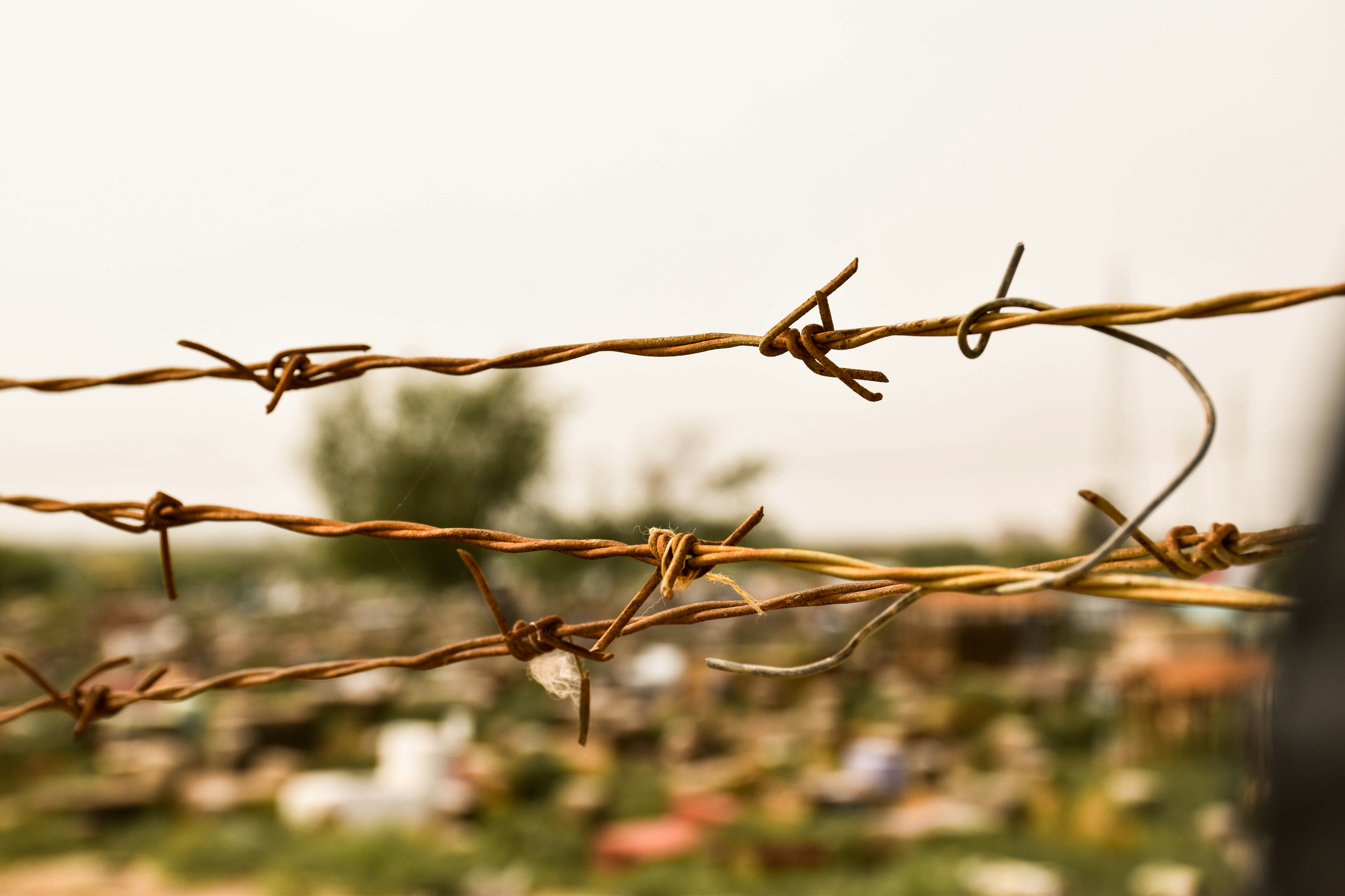 Why Some Genes Evolve Faster Than Others