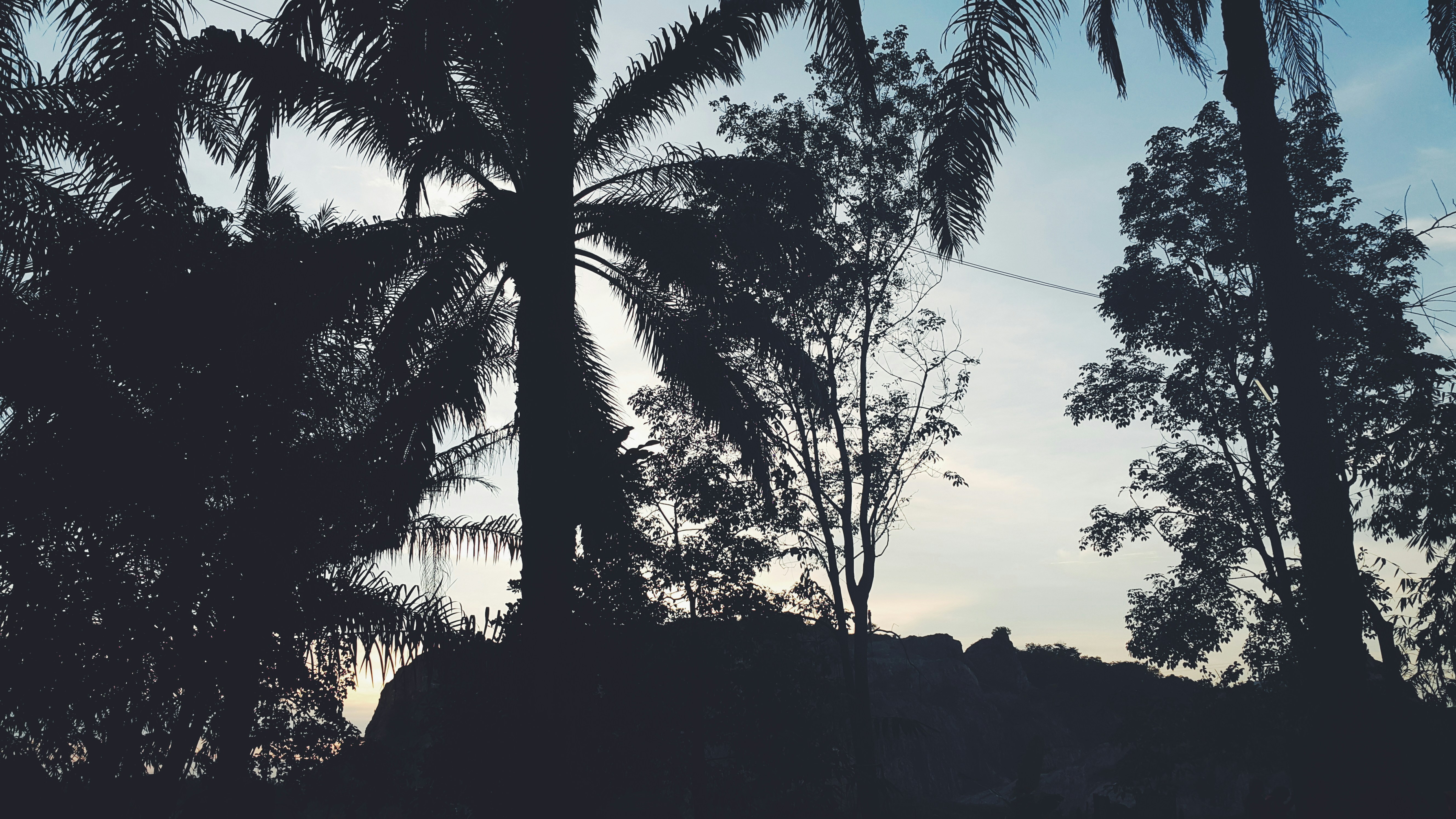 Photo by chaotic_nic