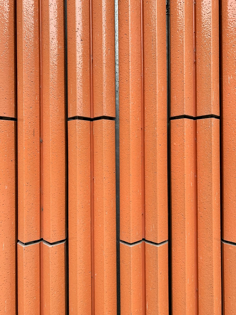 lote de lápices naranjas