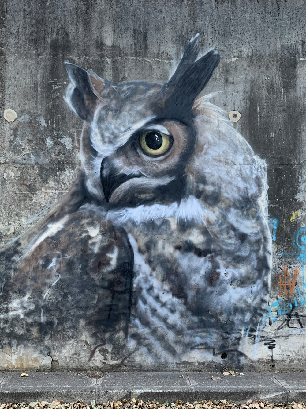 owl painting in a wall close-up photography