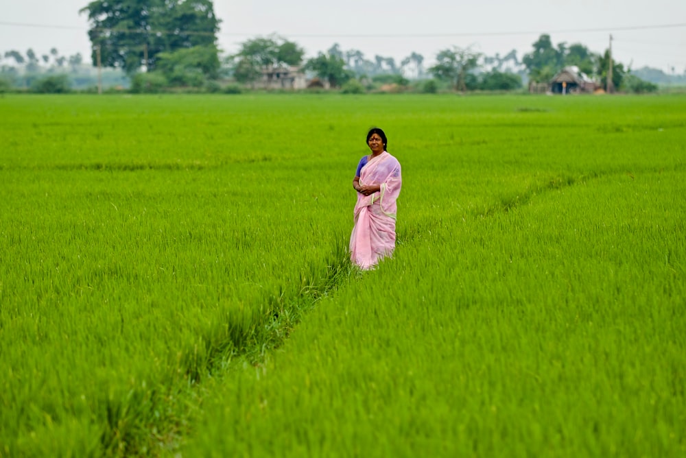 person standing in the middle of rice field during daytime