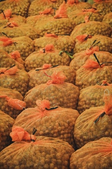 A large number of mesh bags filled with small brown objects are neatly arranged in rows. The bags are gathered at the top with orange netting and tied with black and green ties, creating a uniform pattern across the image.