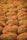 A large number of mesh bags filled with small brown objects are neatly arranged in rows. The bags are gathered at the top with orange netting and tied with black and green ties, creating a uniform pattern across the image.