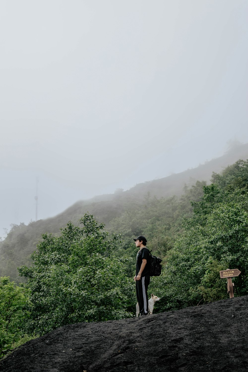 man carrying black backpack