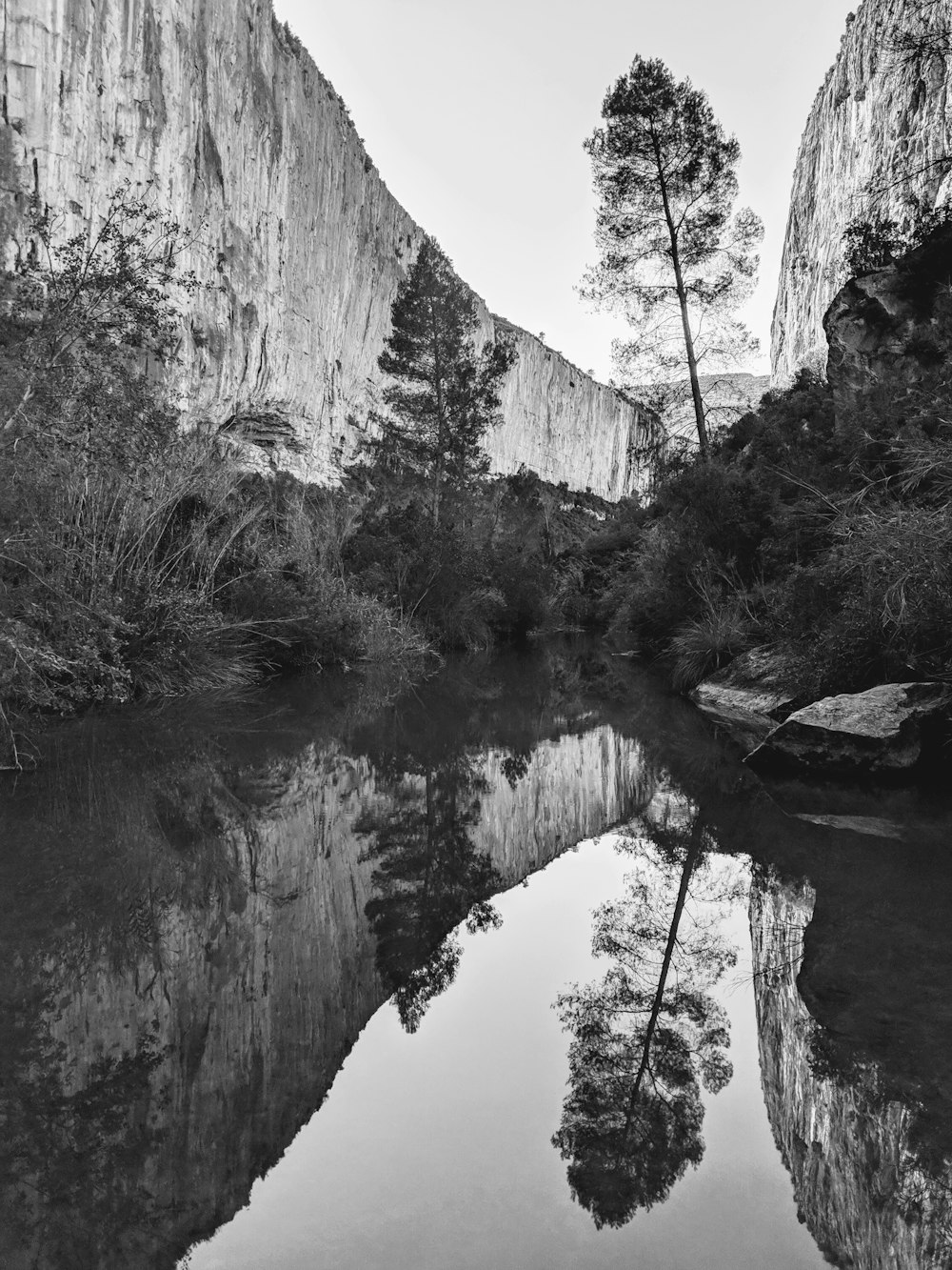 grayscale photography of body of water and mountain cliff