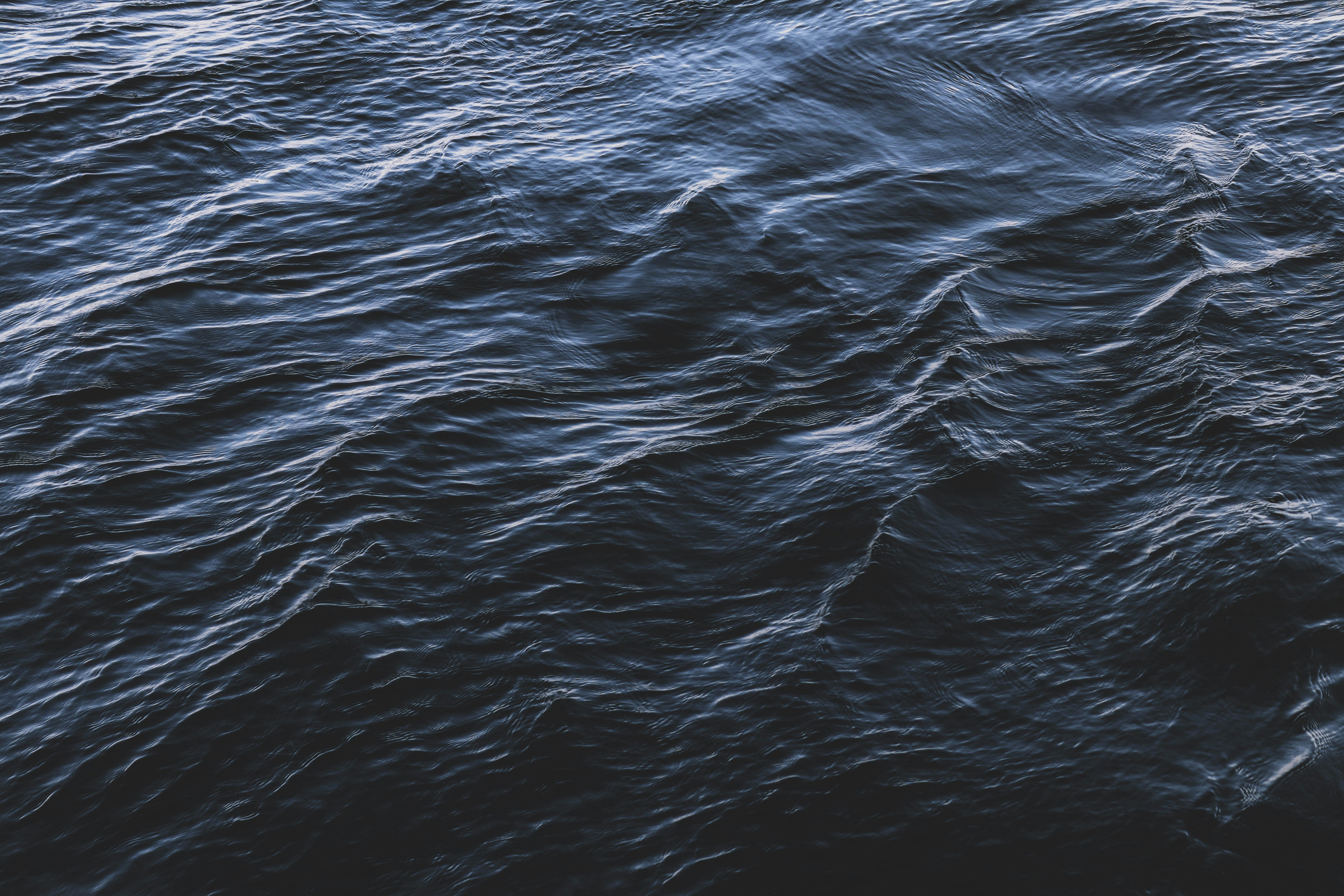 Photo by irinagrotkjaer