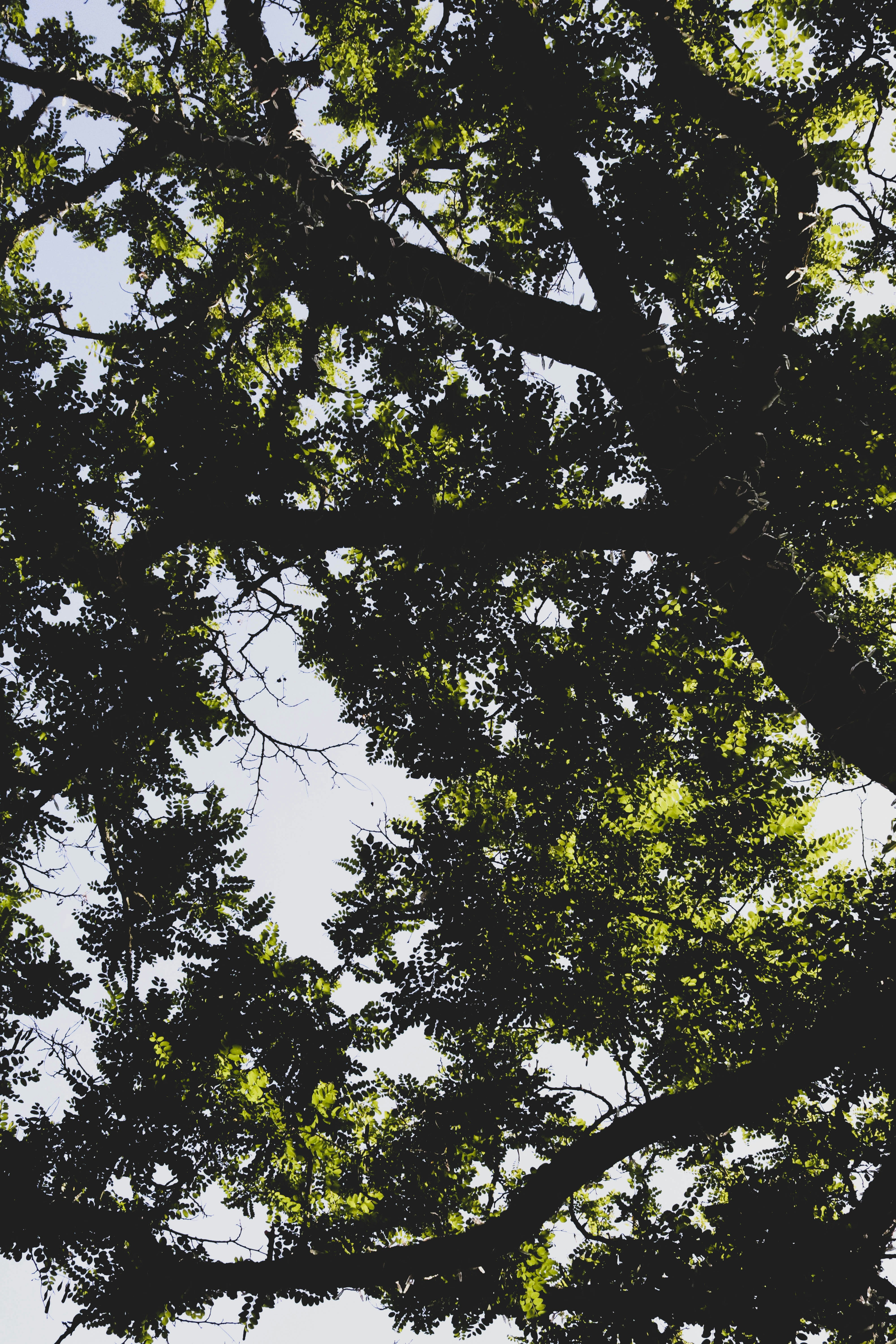 Photo by irinagrotkjaer