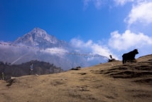 A majestic mountain under a blue sky, with clouds partially covering it. Colorful prayer flags stretch across the scene, with a dark silhouette of a yak on a grassy hill in the foreground. A person is standing on the terrain, which is uneven and mildly hilly.