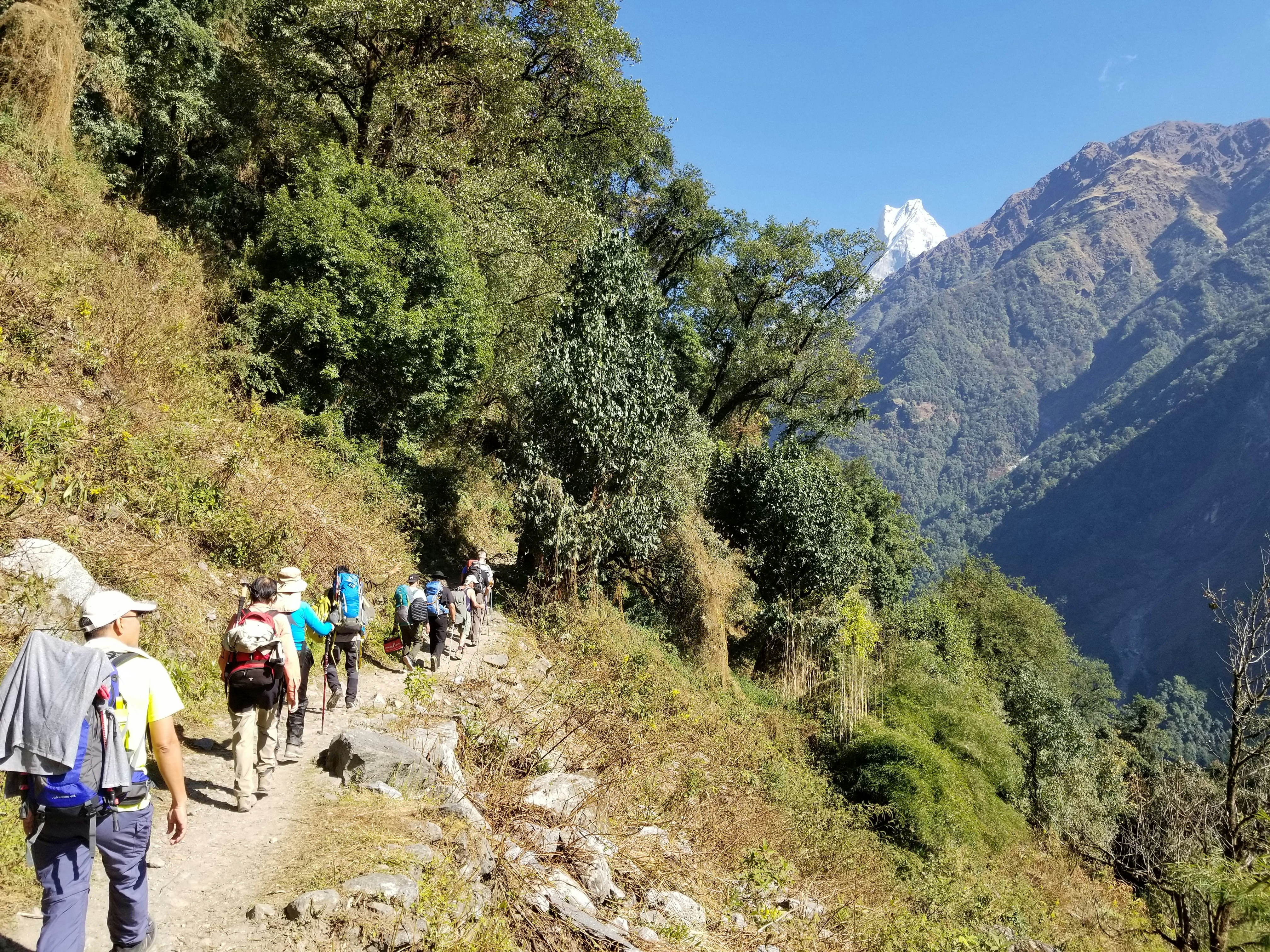Group of gay men hiking on scenic trail in Los Angeles mountains