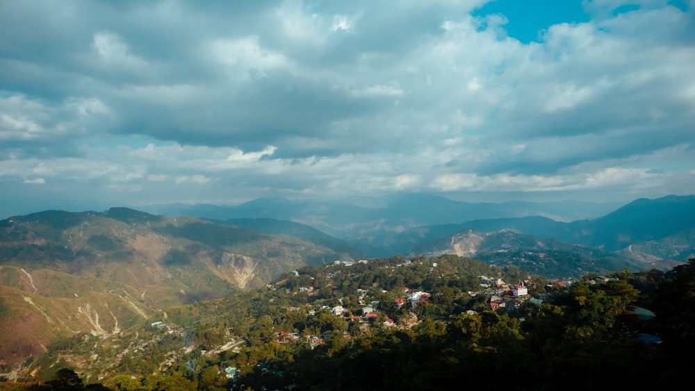 landscape at daytime