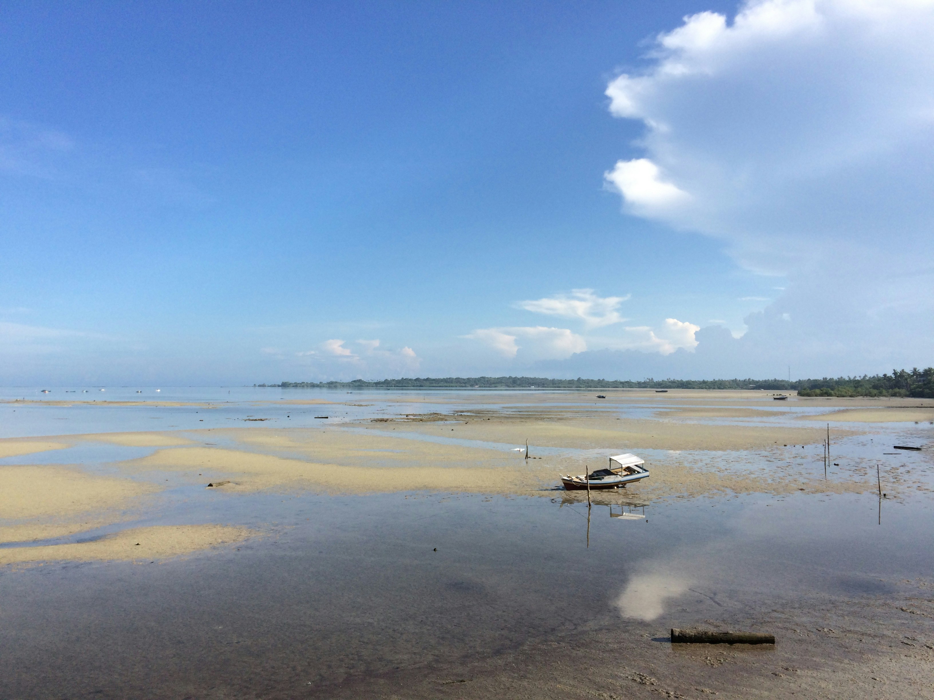 Photo by randomshots_