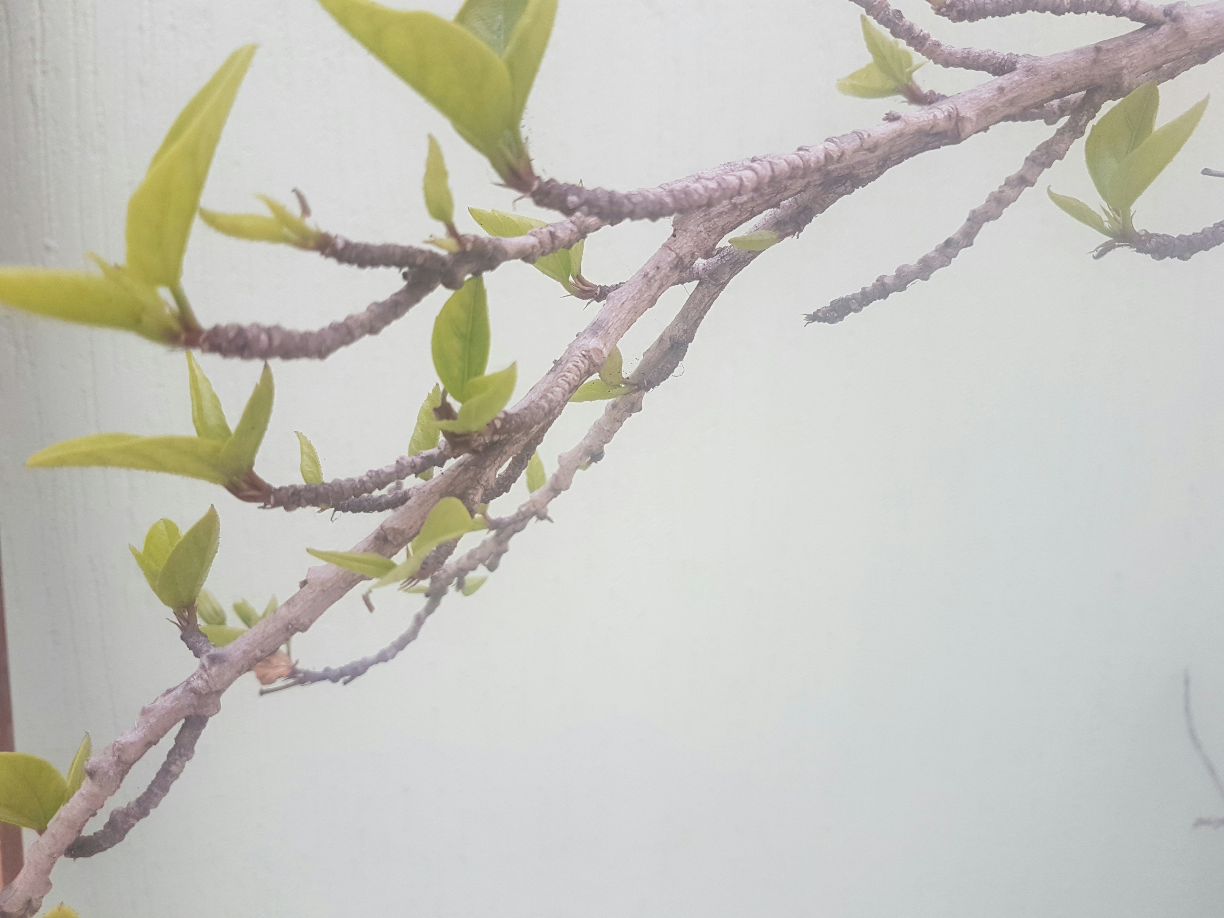 Ahmed Moujib (@talk21) | Communauté photos Unsplash