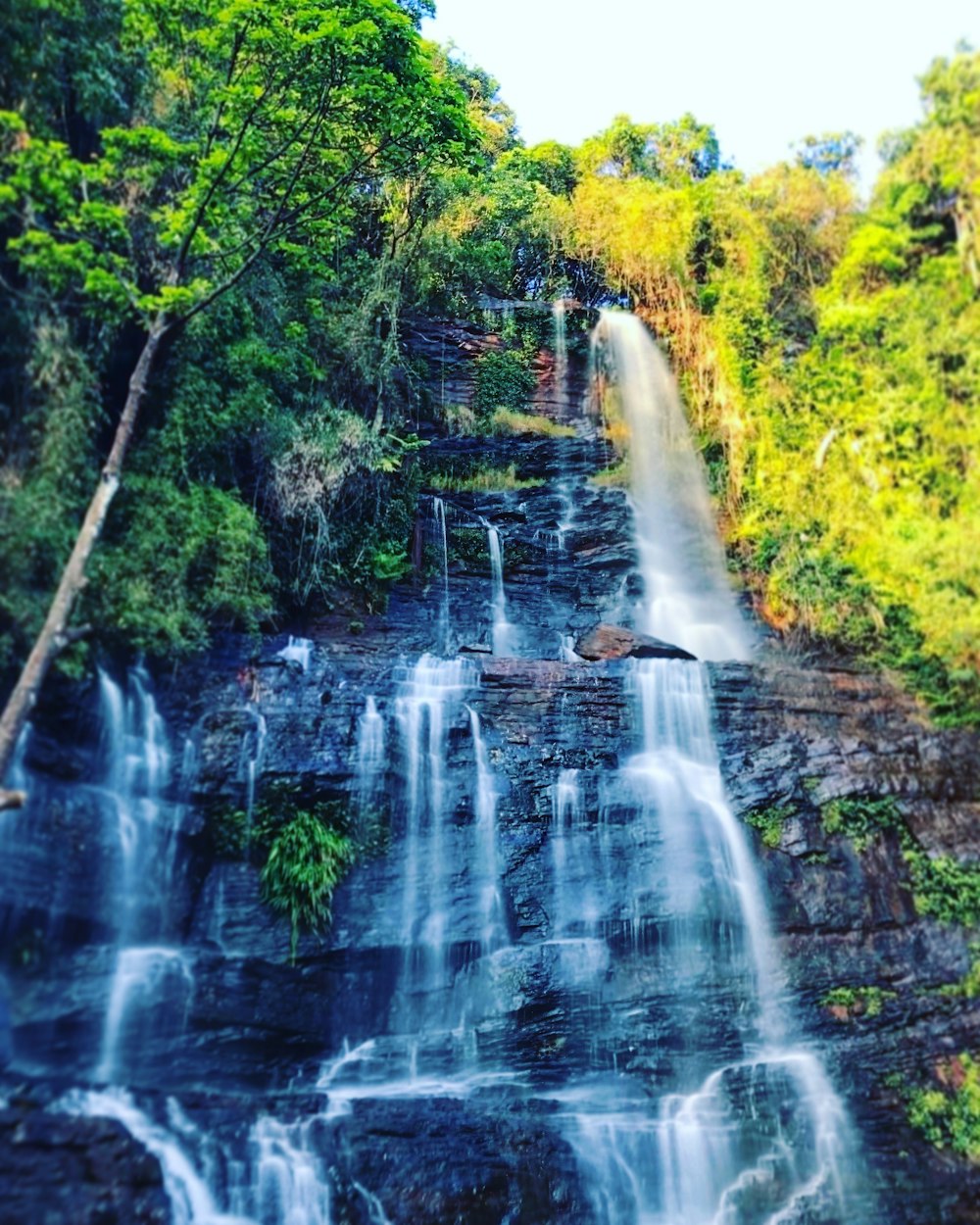 waterfall surrounded by green trees