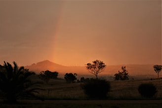 A calm and hopeful scene symbolizing reconciliation and new beginnings.