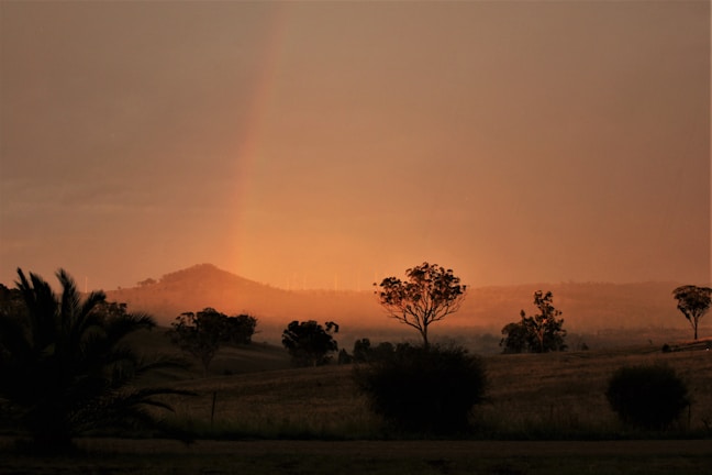 A serene sunset over a peaceful meadow symbolizing the Rainbow Bridge