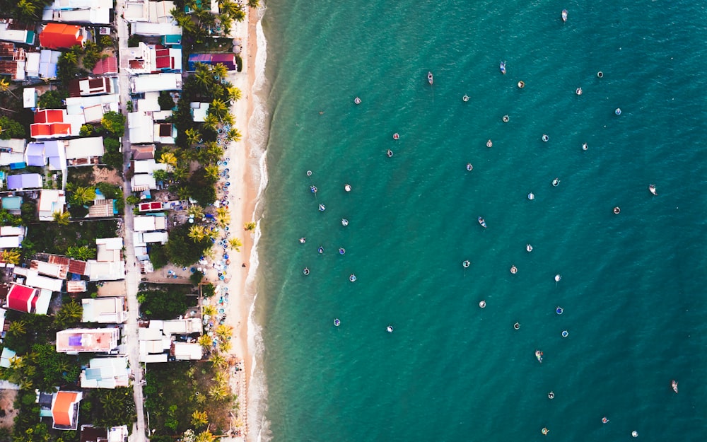 Vue aérienne des maisons près de l’océan