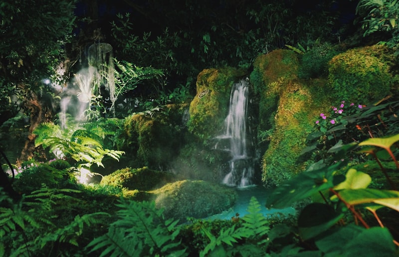 Waterfall in the middle of a tropical jungle