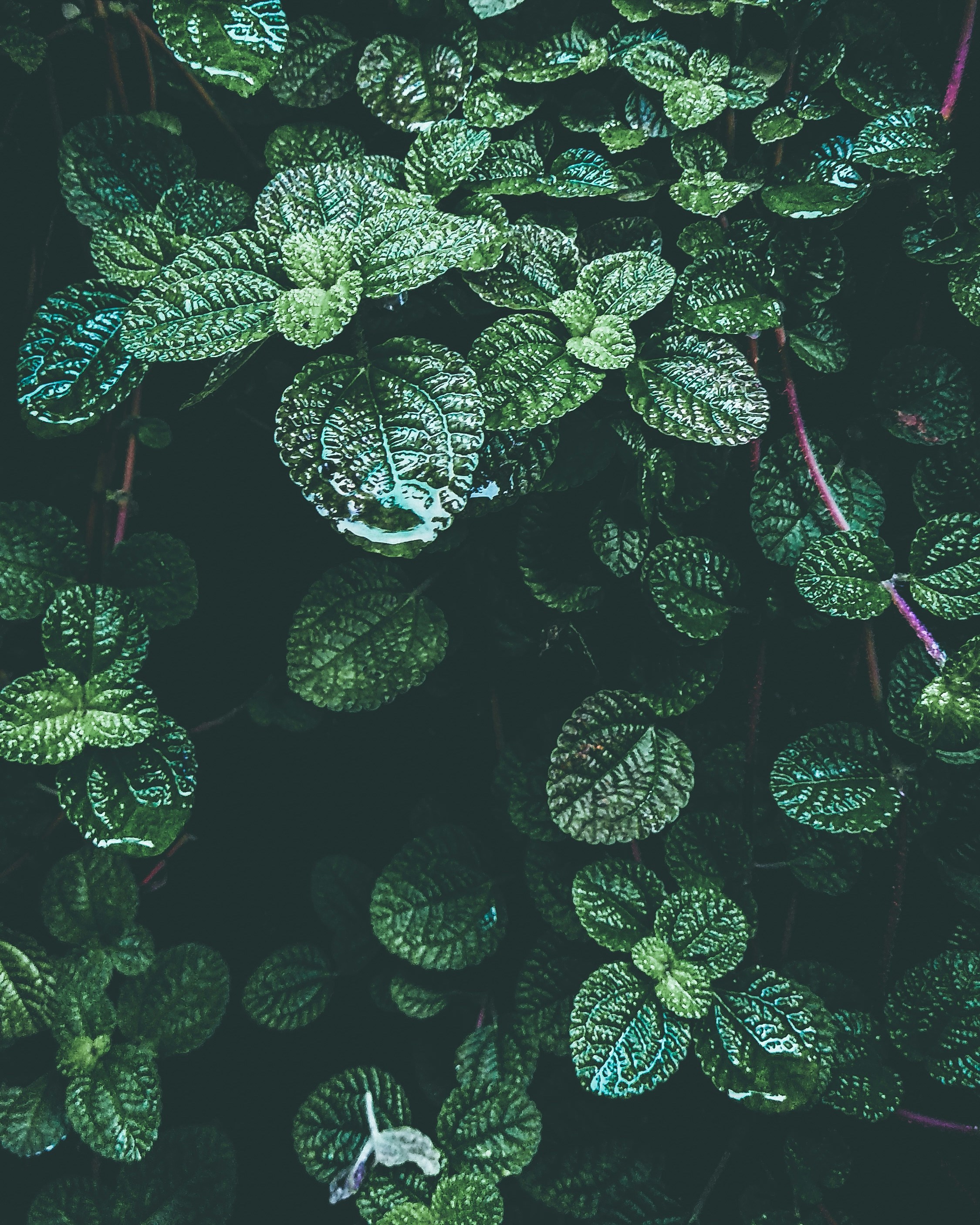 Photo by oktomi_jaya