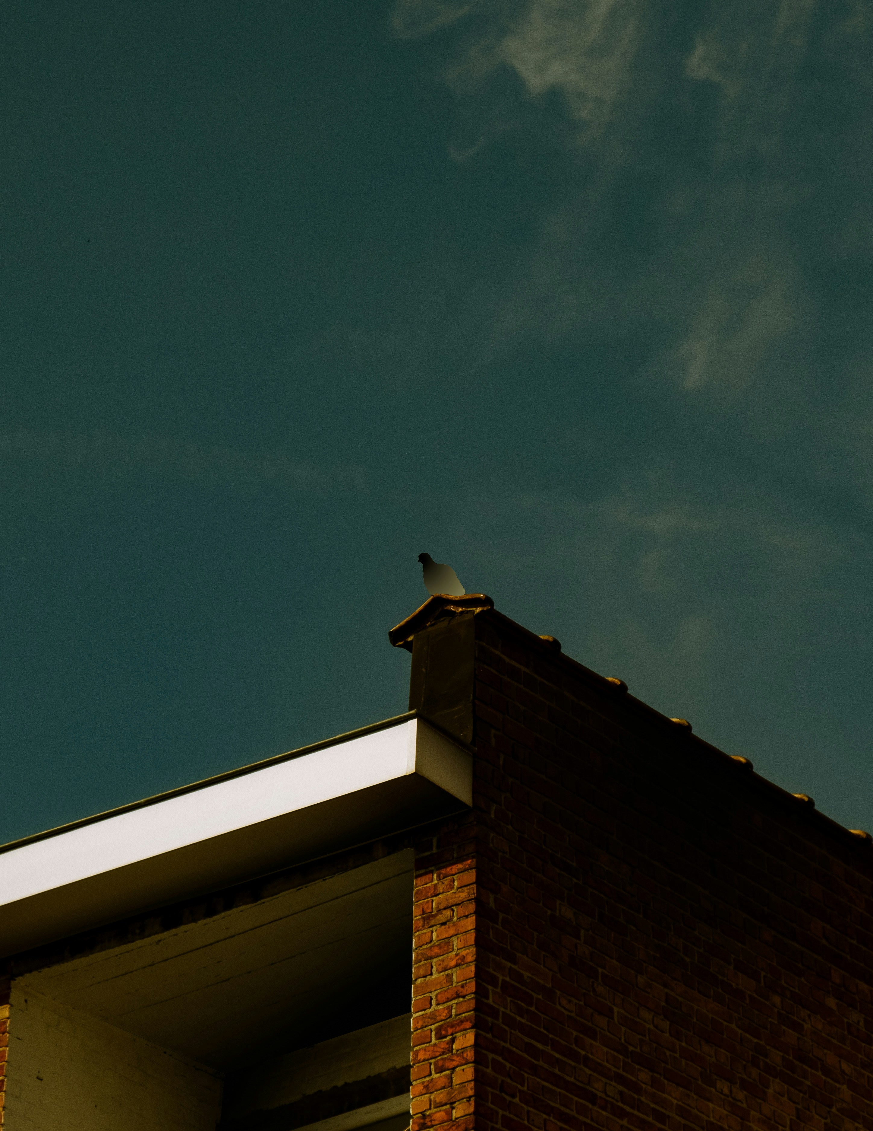 Photo by mimoto_photo