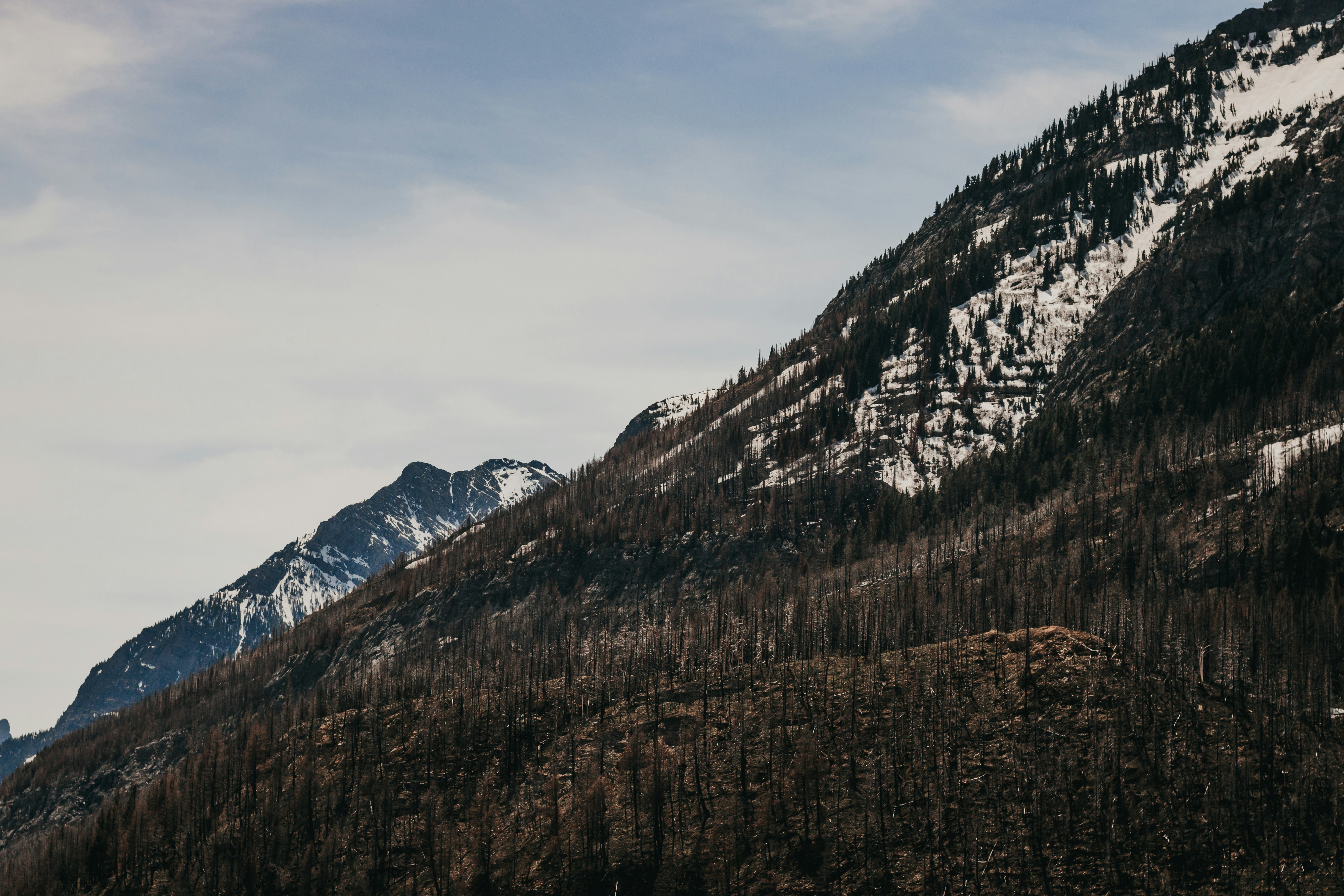 Photo by alexispresa