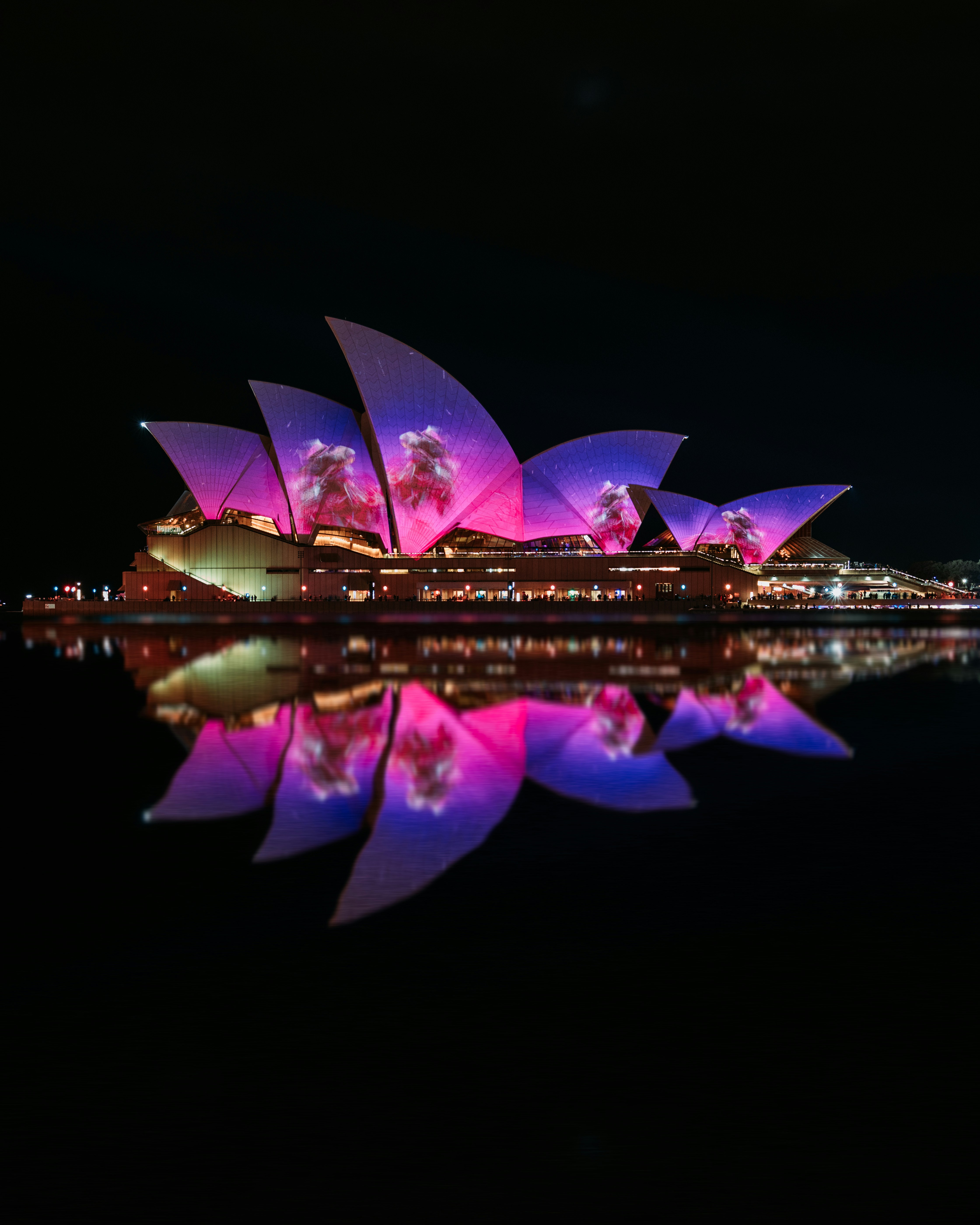 Pink-and-purple lighted Sydney Opera House photo – Free City Image on ...