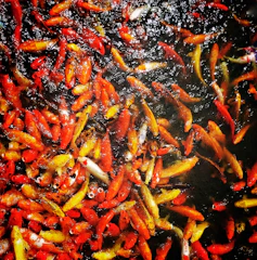 Close-up of vibrant blue and red Japanese filter mats arranged neatly in a multi-chamber koi pond filter.