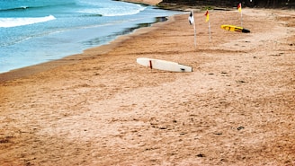 A peaceful cove with gentle waves perfect for beginner surfers.