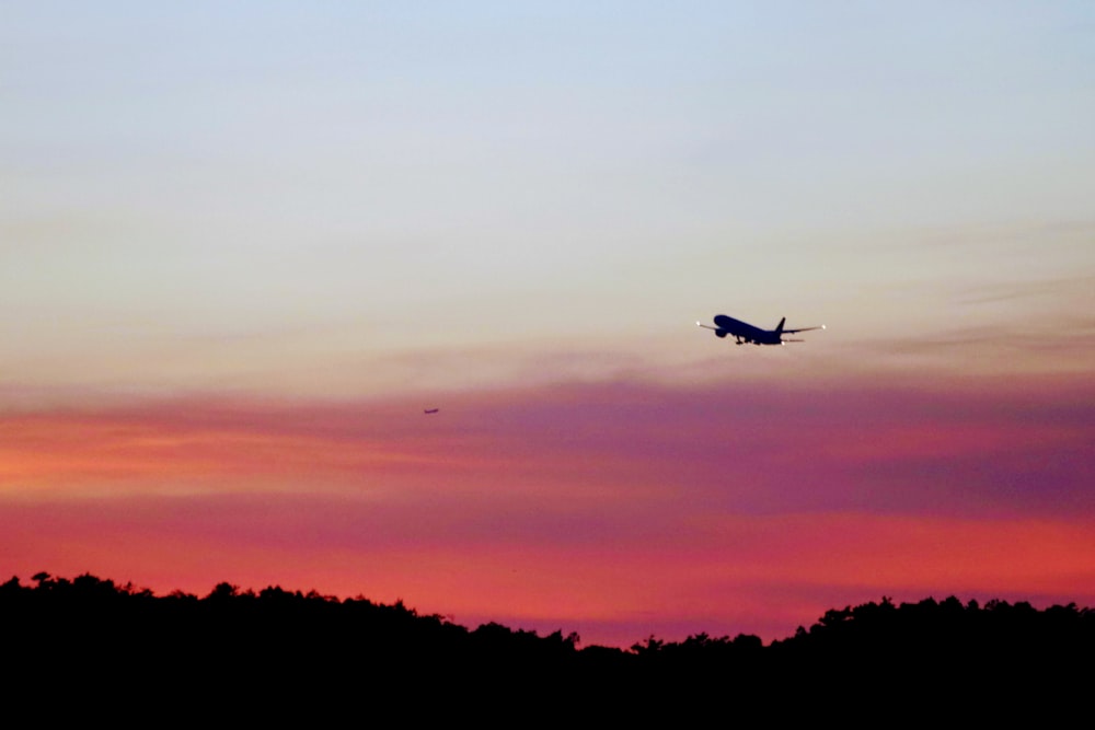 airliner in flight