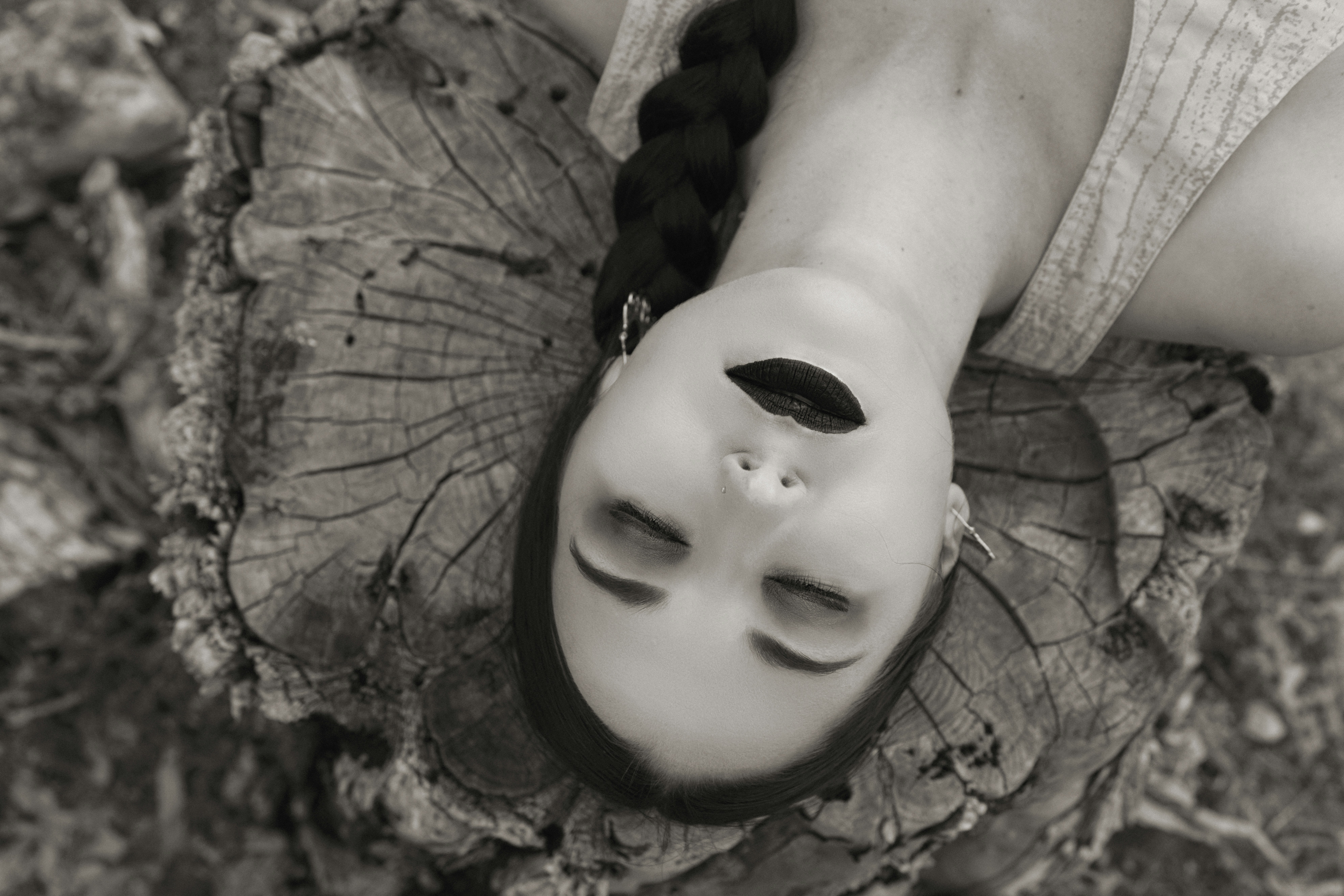 How Toxicologists Establish Safe Exposure Limits