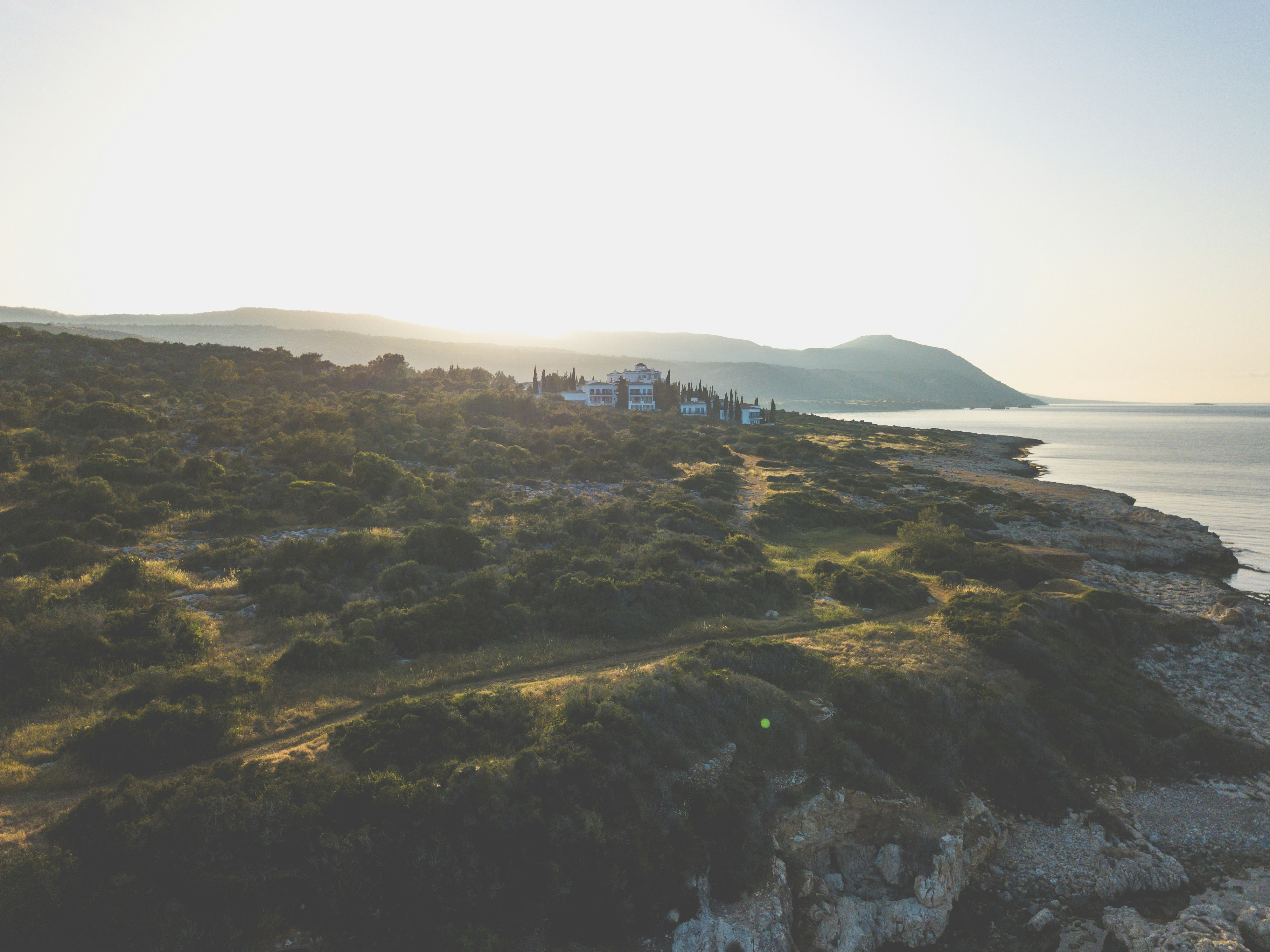 Photo by lsdforsociety