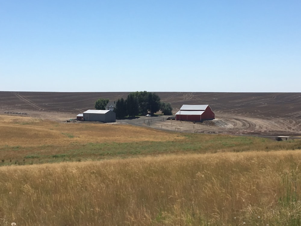 farm during day