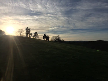 Person riding horse on a scenic trail through Tuscan countryside at sunset.