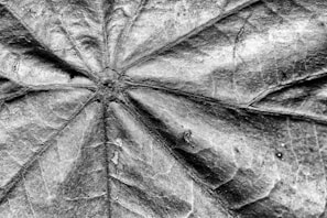 Close-up of a textured monotype print with layered botanical shapes in earthy tones.