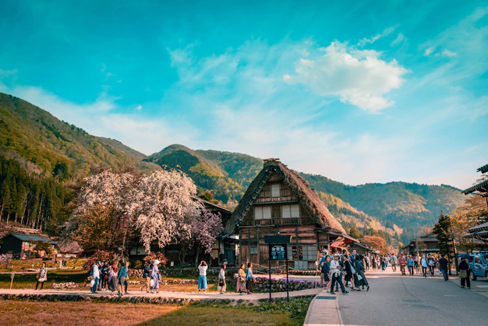 Thatched gassho-zukuri farmhouses among green trees