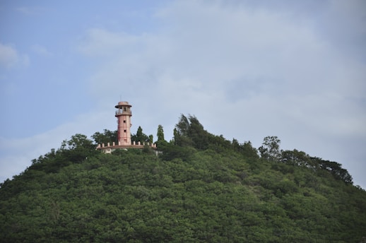 brown watchtower in forest
