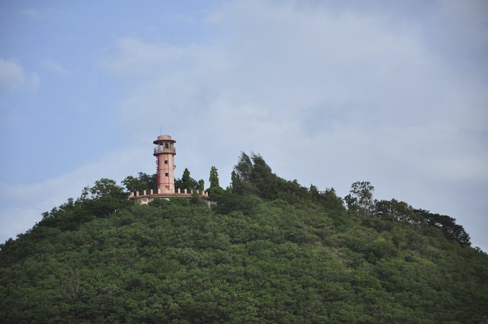 brown watchtower in forest