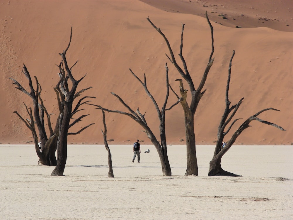 man walking on white sand field with trees