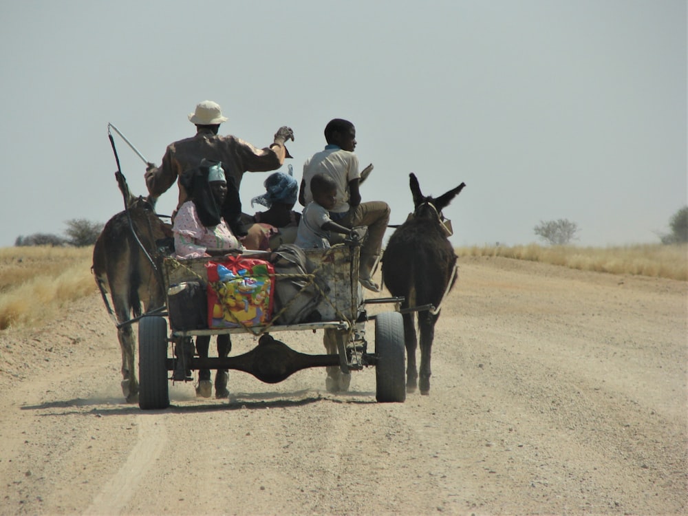 people riding on carriage