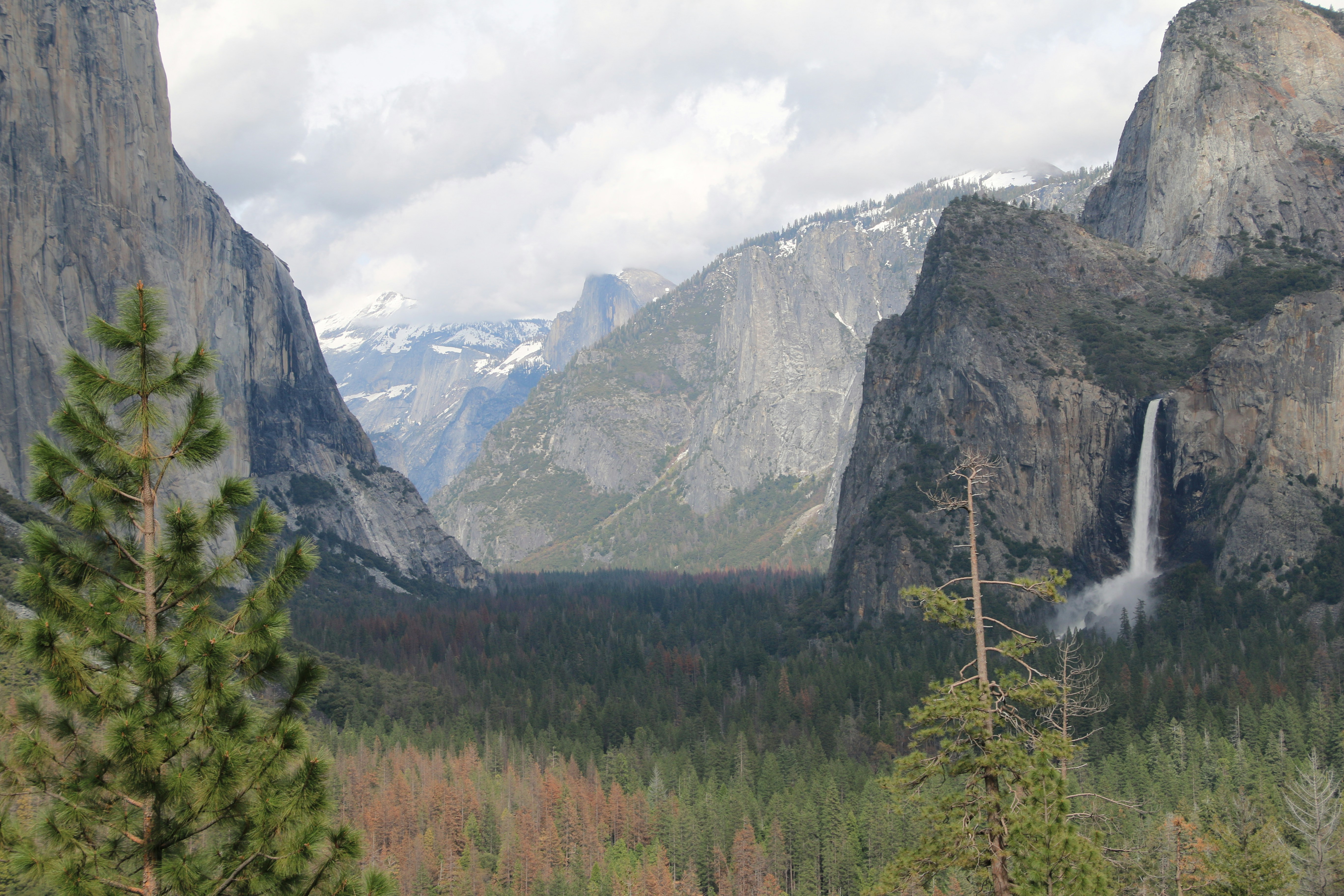 Photo by nixonflores