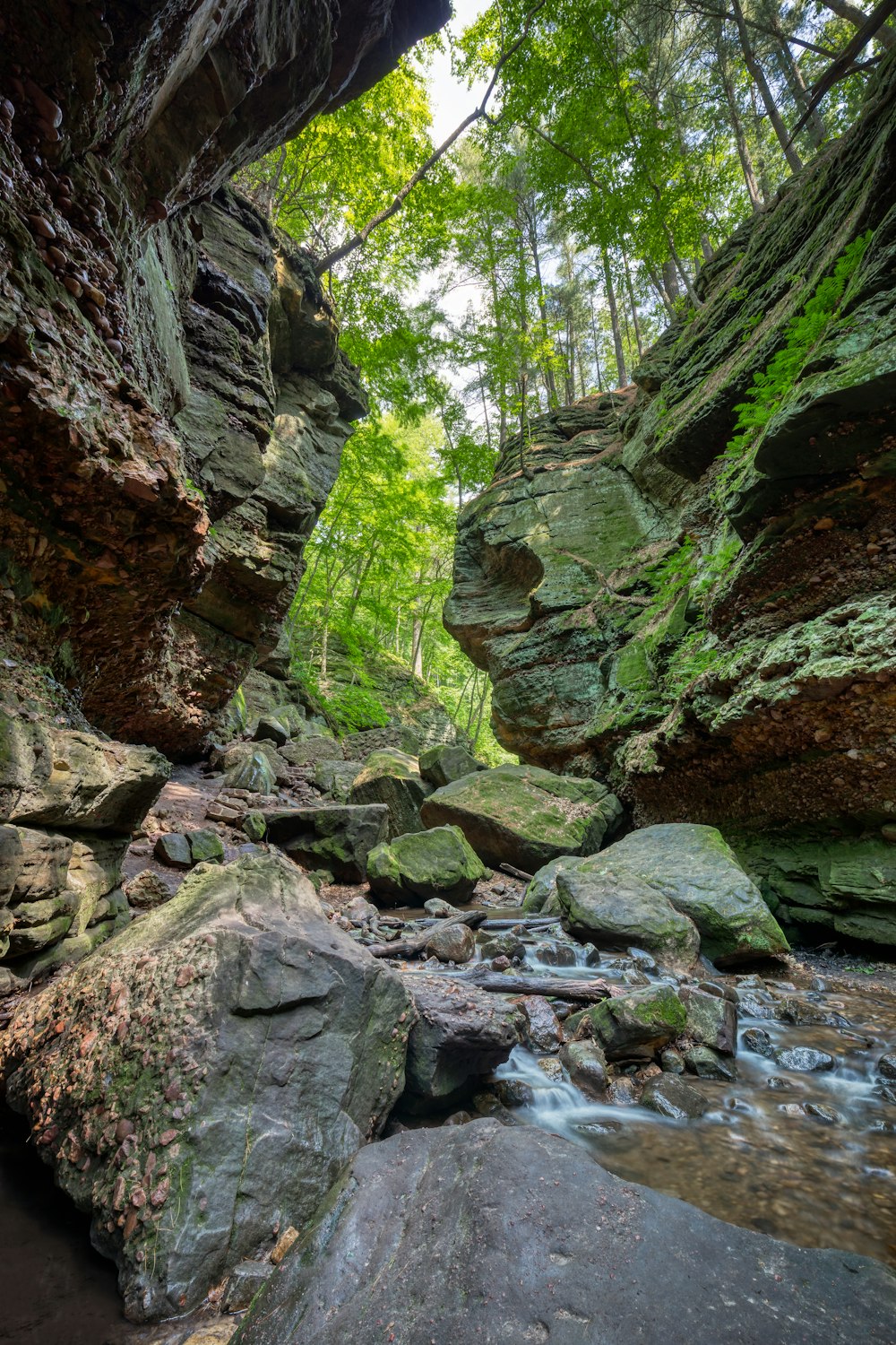 Graue Felsformation in der Nähe von Bäumen