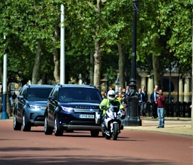 vehicle near trees