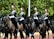 Four equestrians dressed in ornate uniforms ride black horses along a tree-lined avenue. The riders wear reflective helmets with red plumes and carry swords, and their attire is adorned with gold and white details. The scene suggests a formal or ceremonial event, and the trees in the background provide a natural backdrop.
