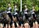Four equestrians dressed in ornate uniforms ride black horses along a tree-lined avenue. The riders wear reflective helmets with red plumes and carry swords, and their attire is adorned with gold and white details. The scene suggests a formal or ceremonial event, and the trees in the background provide a natural backdrop.