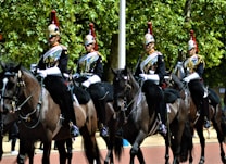 Four equestrians dressed in ornate uniforms ride black horses along a tree-lined avenue. The riders wear reflective helmets with red plumes and carry swords, and their attire is adorned with gold and white details. The scene suggests a formal or ceremonial event, and the trees in the background provide a natural backdrop.