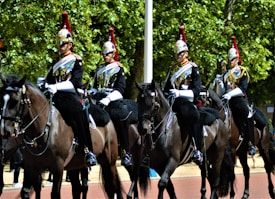 Four equestrians dressed in ornate uniforms ride black horses along a tree-lined avenue. The riders wear reflective helmets with red plumes and carry swords, and their attire is adorned with gold and white details. The scene suggests a formal or ceremonial event, and the trees in the background provide a natural backdrop.